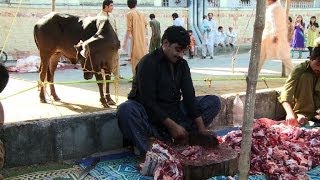 Cows slaughtered as Pakistan celebrates Eid alAdha [upl. by Ahsenev32]