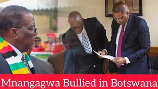 Mnangagwa Bullied In Botswana😳 [upl. by Ellener915]