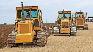 Caterpillar D5B SA VHP D6D SA VHP and D8H 22A ploughing  Dowdeswell DP1  26 furrows  Classic Cat [upl. by Sibeal136]