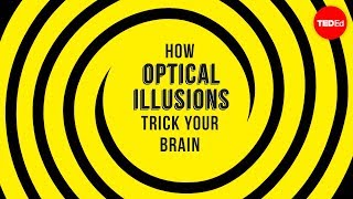 How optical illusions trick your brain  Nathan S Jacobs [upl. by Myrle]