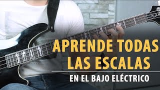 Aprende TODAS LAS ESCALAS en el Bajo en 9 Minutos  Tutorial [upl. by Vivie752]