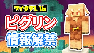 【マイクラ116】ピグリンPiglinの生態・スポーン場所・仕様を詳しく解説‼【マインクラフト116】Snapshot 20w07a統合版 [upl. by Atte]