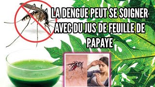 La dengue peut se soigner avec du jus de feuille de papaye [upl. by Acinorehs]