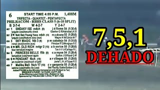 MMTCI LIVE RACING TIPS SEPT 08 2024 DEHADISTA [upl. by Neehsuan]