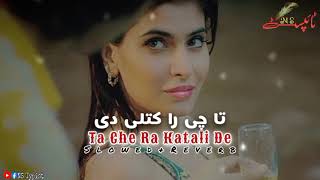 Pashto New Song 2024 SlowedReverb Ta Che Raa Katali De [upl. by Leonard810]