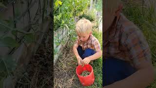 Farm chores everything was good until this happened farmliving familyfarm lifeonthefarm [upl. by Gensler]