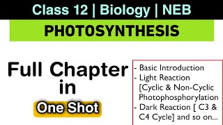 Photosynthesis in One Shot  Class 12 Biology NEB  Nepali ScienceGuru [upl. by Moynahan946]