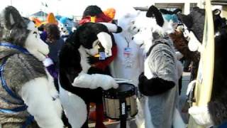 Fursuit Drum Battle [upl. by Peterus]