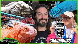 SCHAUMBURG NARBC REPTILE EXPO July 2024 [upl. by Irim]