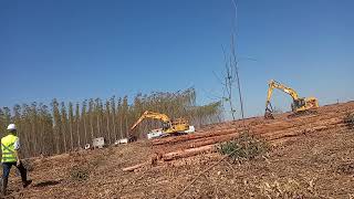 Treinamento Harvester Suzano em Água Clara  MS [upl. by Kania]