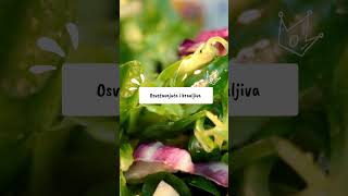 Avokado salata sa jajima  Kako spremiti avokado  Domaci recepti [upl. by Childers]