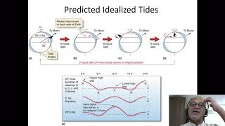 11 Idealized Tide Predictions [upl. by Ertnom468]