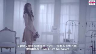 Fujita Maiko Nee 藤田麻衣子 ねぇ Hiiro No Kakera sub español [upl. by Aviva669]