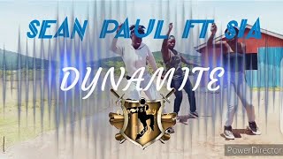 Sean Paul  Dynamite  official dance video ft Sia seanpaul sia dynamite [upl. by Torp]