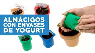 ¿Cómo hacer almácigos con envases de yogurth [upl. by Aneertak795]