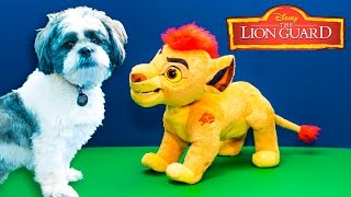 LION GUARD Leap and Roar Kion with the Assistant and Wiggles New Toys Video [upl. by Katerina]