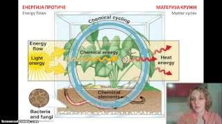Izokrenuta učionica  Ekosistem [upl. by Clawson445]