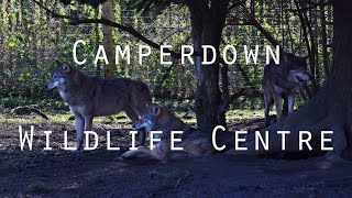 Camperdown Wildlife Centre [upl. by Eniffit197]