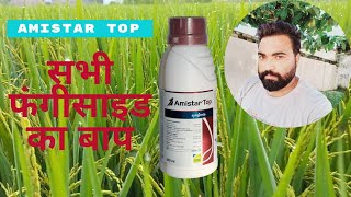 Amistar top best fungicide in the world  Syngenta ka amistar top [upl. by Alonso]