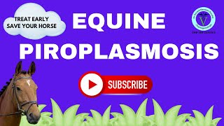 Unlocking Equine Piroplasmosis Etiology Diagnosis and Treatment Explained I GNP Sir [upl. by Ellerahs]