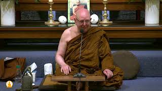 Water the Flowers  Ajahn Brahm  12 January 2024 [upl. by Penn]