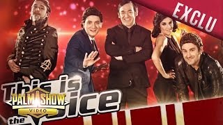 This is The Voice  Palmashow [upl. by Wright]