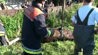 100603 Kirchwerder Feuerwehr rettet Pferd Paparazzi aus misslicher Lage HD [upl. by Eeliram310]