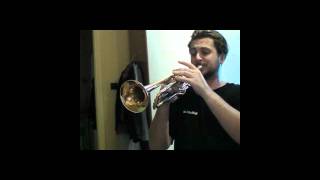 Thomann TR 400 G vs Yamaha YTR 1335 trumpet test [upl. by Phionna286]