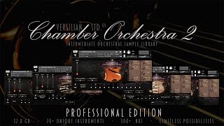 VSCO 2 Professional Edition Release Trailer [upl. by Ayram263]