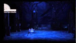 Swan Lake Entree Odette Luana Brunetti Mattion [upl. by Alram]