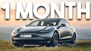 2023 Tesla Model 3 One Month Later  Is the Cheapest Tesla Worth it [upl. by Giralda732]