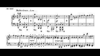 BeethovenLiszt  Symphony 9 Molto vivace  Cyprien Katsaris Piano [upl. by Banky106]