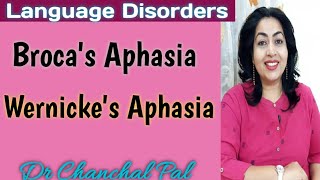 Language disorders Dr Chanchal  brocas aphasia  wernickes aphasia  aphasia in hindi  dysphasia [upl. by Trilley984]