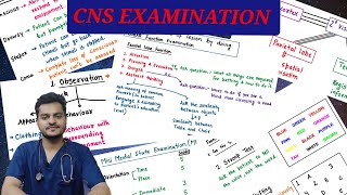 CNS EXAMINATION  Part1 Higher Mental Function Assessment [upl. by Leelaj]