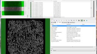 Bruker microCT tutorial Some new features of CTAn in 2011 [upl. by Ettebab]