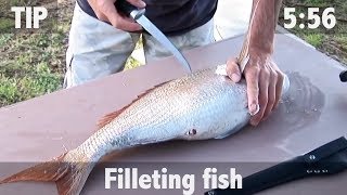 How to Fillet Fish [upl. by Trebornhoj]