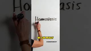 Understanding Homeostasis Key Concepts Explained shorts [upl. by Correna]