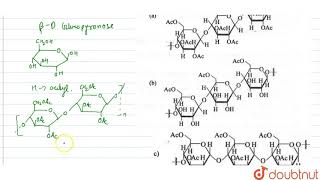 Cellulose upon acetylation with excess acetic anhydrideH2SO4 catalytic [upl. by Noletta]