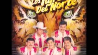 No Pude Enamorarme MasLos Tigres del Norte Album Unidos para Siempre Año 1996 [upl. by Dredi725]