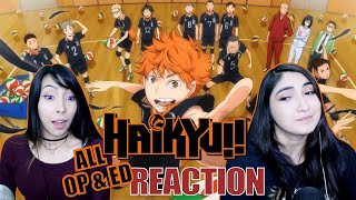 Haikyu OR HYPEKYU  Haikyu All Openings and Endings Reaction [upl. by Junji]