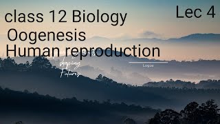 OogenesisHuman reproductionBiologyClass 12NEET [upl. by Ben260]