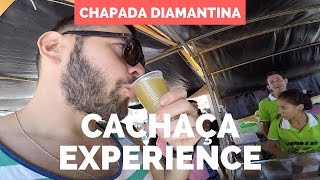 Chapada Diamantina 5  Cachaça Experience e Fazenda Orgânica [upl. by Ecnahoy]