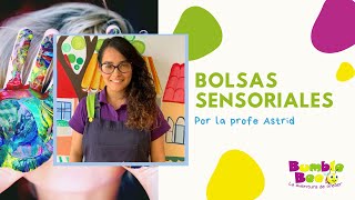 Bolsas sensoriales para hacer en casa con tus hijos [upl. by Drake]