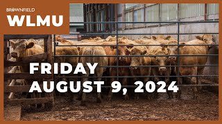 Cattle markets drop again this week  Weekly Livestock Market Update [upl. by Akierdna]