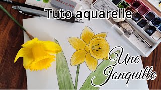 Dessiner une jonquille à laquarelle Tuto peinture aquarelle [upl. by Curkell312]