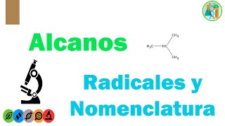 ALCANOS Radicales Nomenclatura y Ejercicios [upl. by Yroggerg]