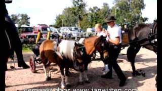 Paardenmarkt in Reusel [upl. by Benia]