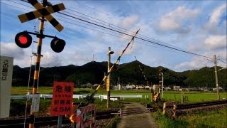 踏み切り Railway Crossing in Japan [upl. by Taimi165]