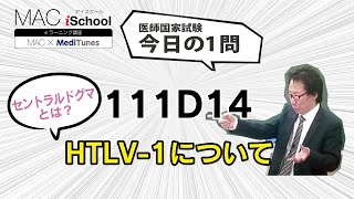 111D14 動画で学ぶ医師国試（MAC）HTLV1について（今日の1問） [upl. by Zachary]