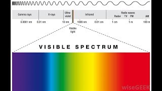 Friday Night Live What if Humans could see the Full Visible Spectrum [upl. by Nywra]